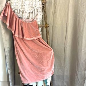 Blush velvet one shoulder dress NWOT Medium